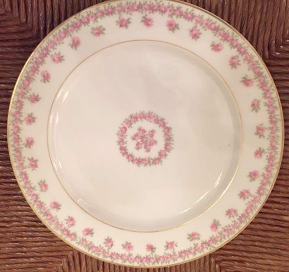 Schleiger 749-1 Dinner Plate by Haviland-1