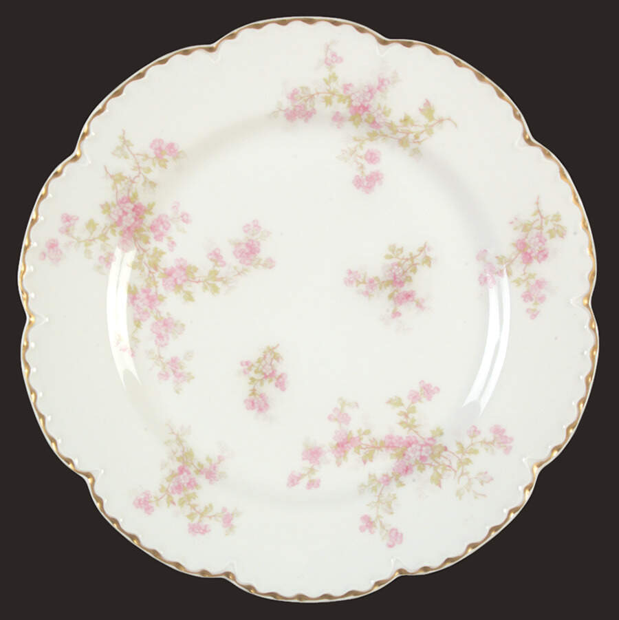 Schleiger 29Q Dinner Plate by Haviland-1