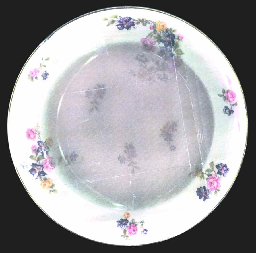 Clematis Dinner Plate by Haviland-1
