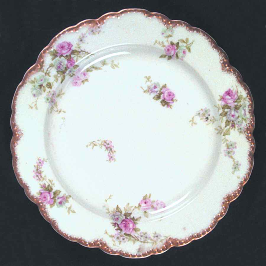 Schleiger 137 Dinner Plate by Haviland-1
