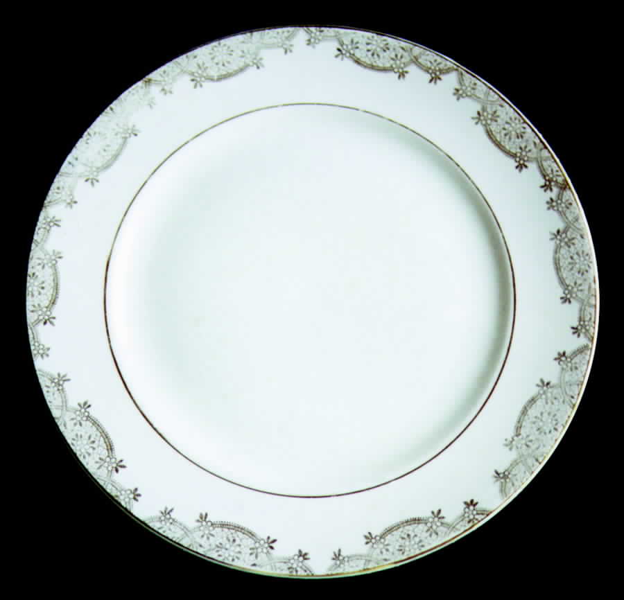 HLC967 Dinner Plate by Homer Laughlin -1