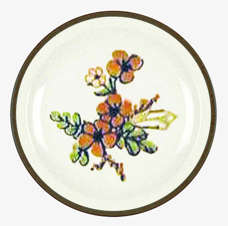 Lucy Dinner Plate by Homer Laughlin -1