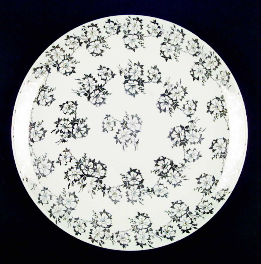 HLC983 Dinner Plate by Homer Laughlin -1