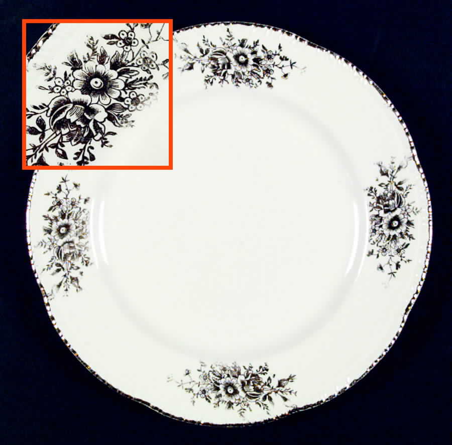 HLC990 Dinner Plate by Homer Laughlin -1