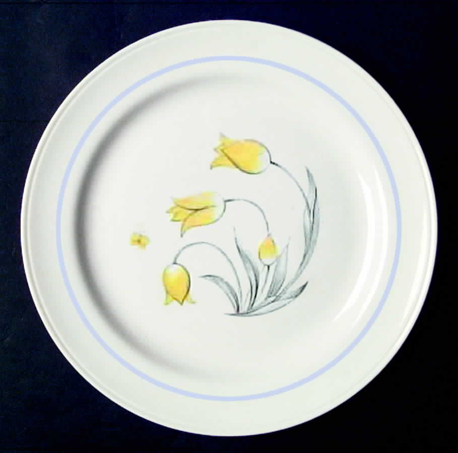 HLC999 Dinner Plate by Homer Laughlin -1