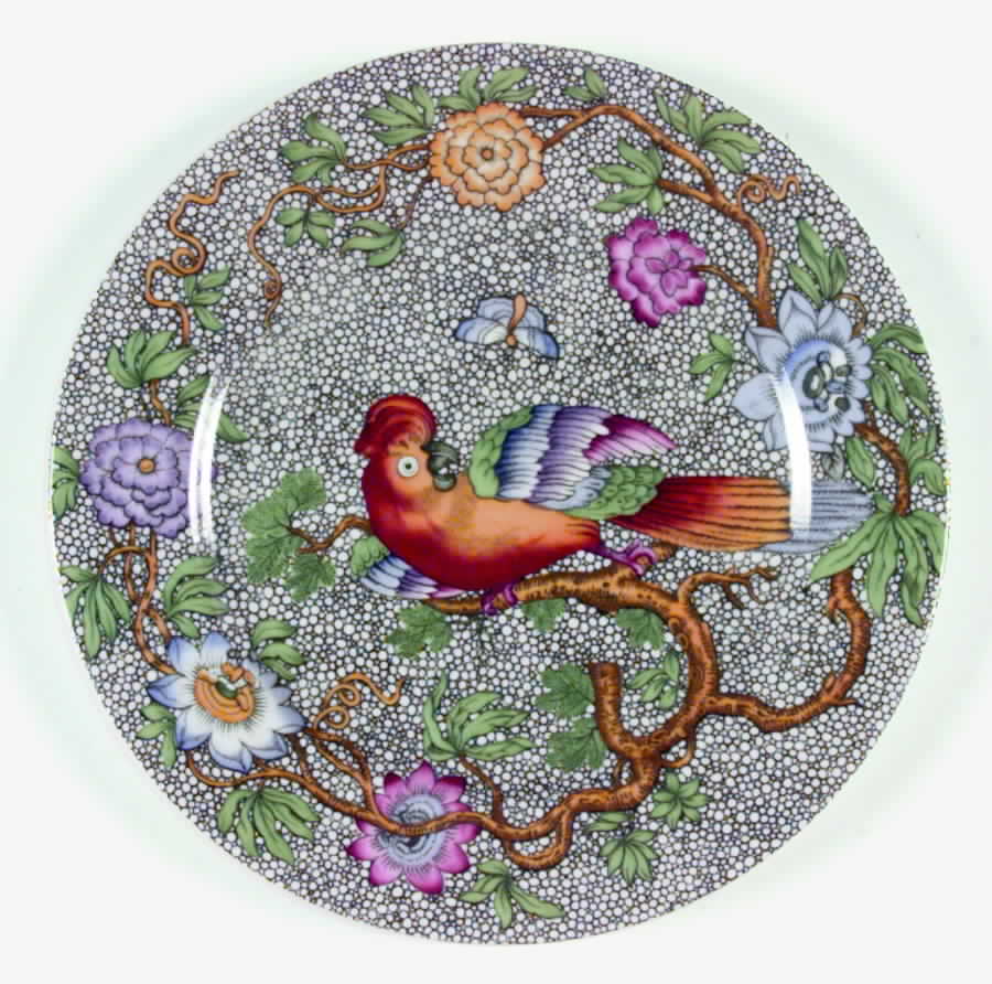 Parakeet Dinner Plate by Haldon-1
