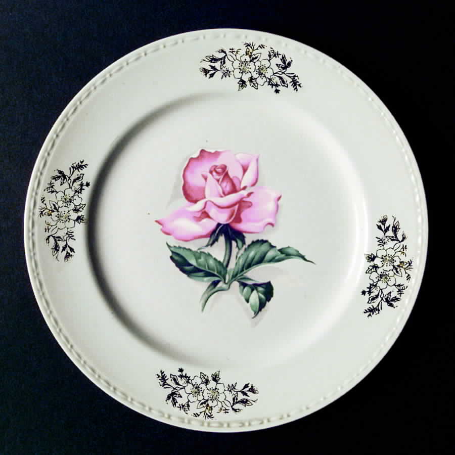 HLC1033 Dinner Plate by Homer Laughlin -1