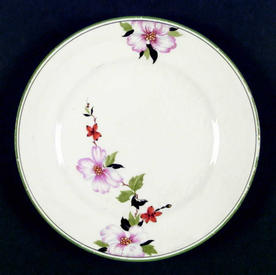 K8723 Dinner Plate by Homer Laughlin -1