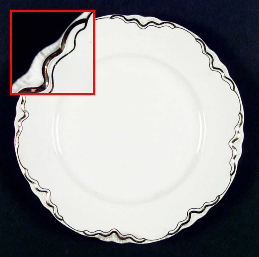 R5306 Dinner Plate by Homer Laughlin -1