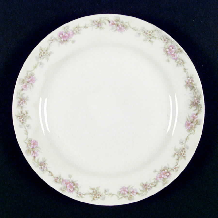 K3314 Dinner Plate by Homer Laughlin -1