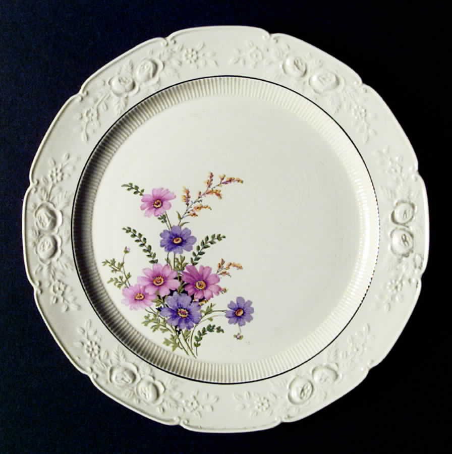 RV28 Dinner Plate by Homer Laughlin -1
