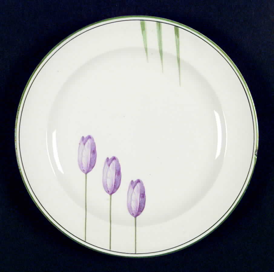 RG4508 Dinner Plate by Homer Laughlin -1