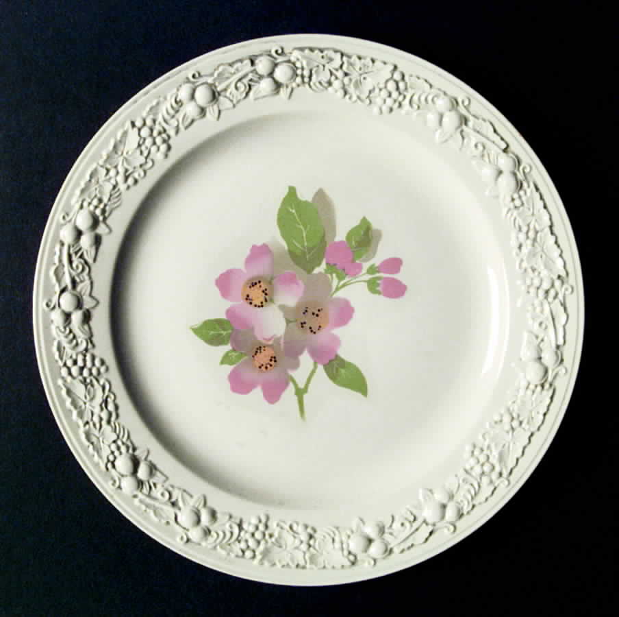 R8585 Dinner Plate by Homer Laughlin -1