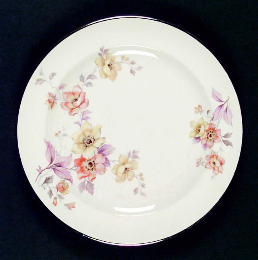 W104 Dinner Plate by Homer Laughlin -1