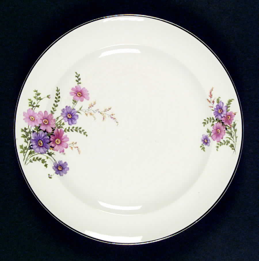 W5433 Dinner Plate by Homer Laughlin -1