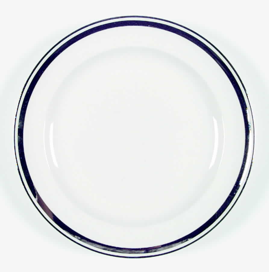 MAW4 Dinner Plate by Homer Laughlin -1