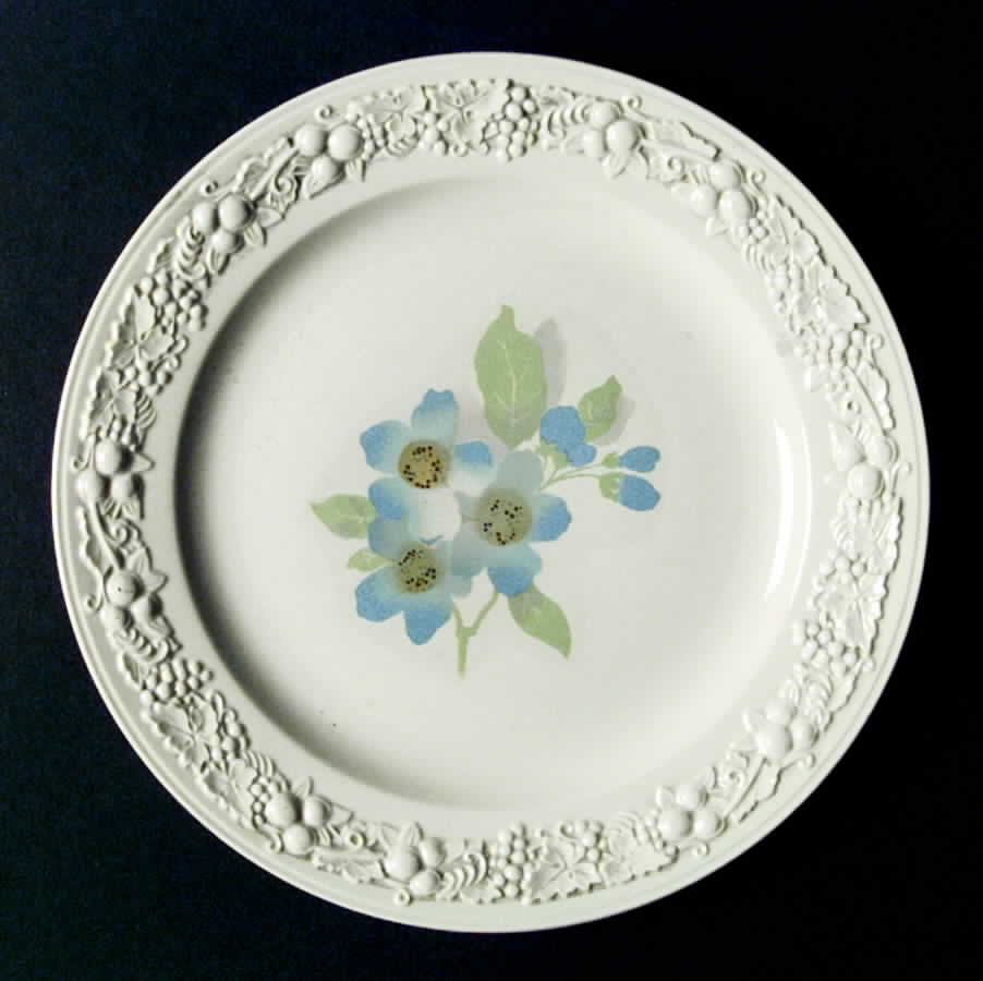 R8586 Dinner Plate by Homer Laughlin -1