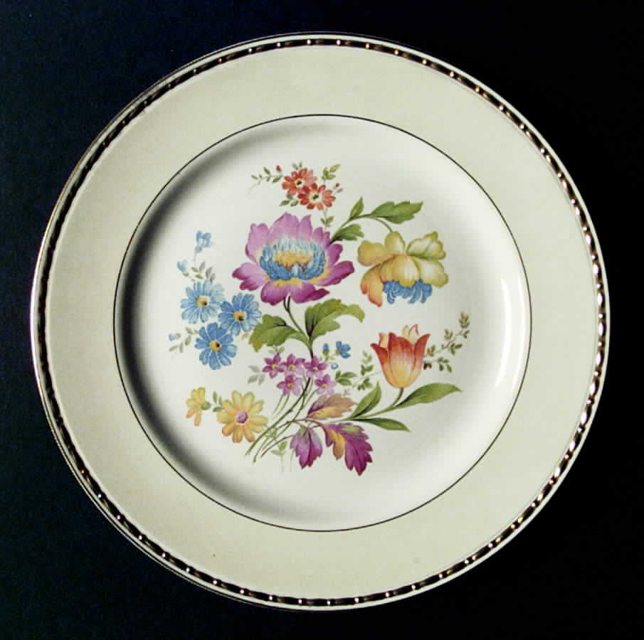 R6106 Dinner Plate by Homer Laughlin -1