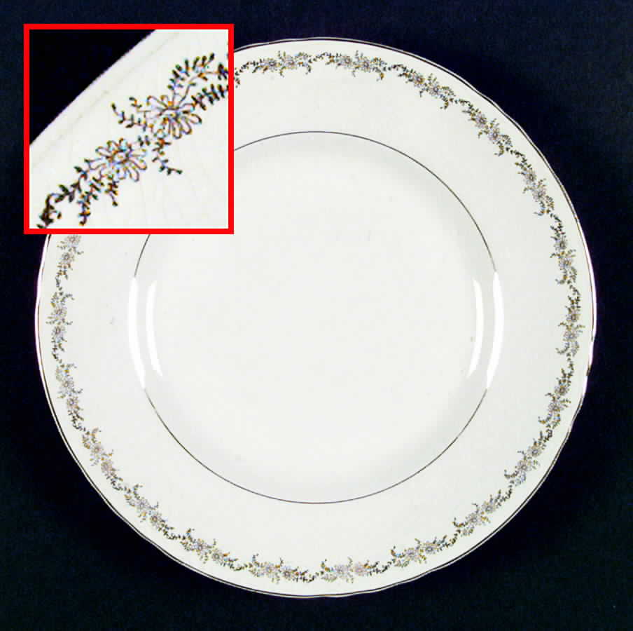 K16 Dinner Plate by Homer Laughlin -1