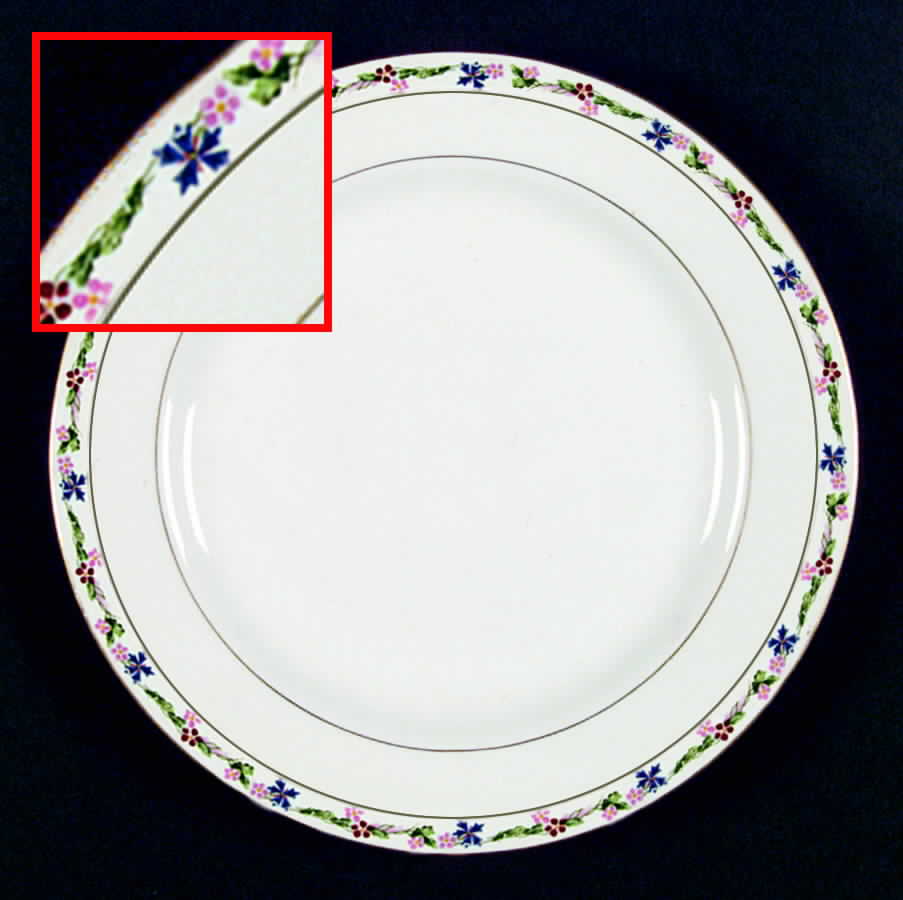 HLC1072 Dinner Plate by Homer Laughlin -1