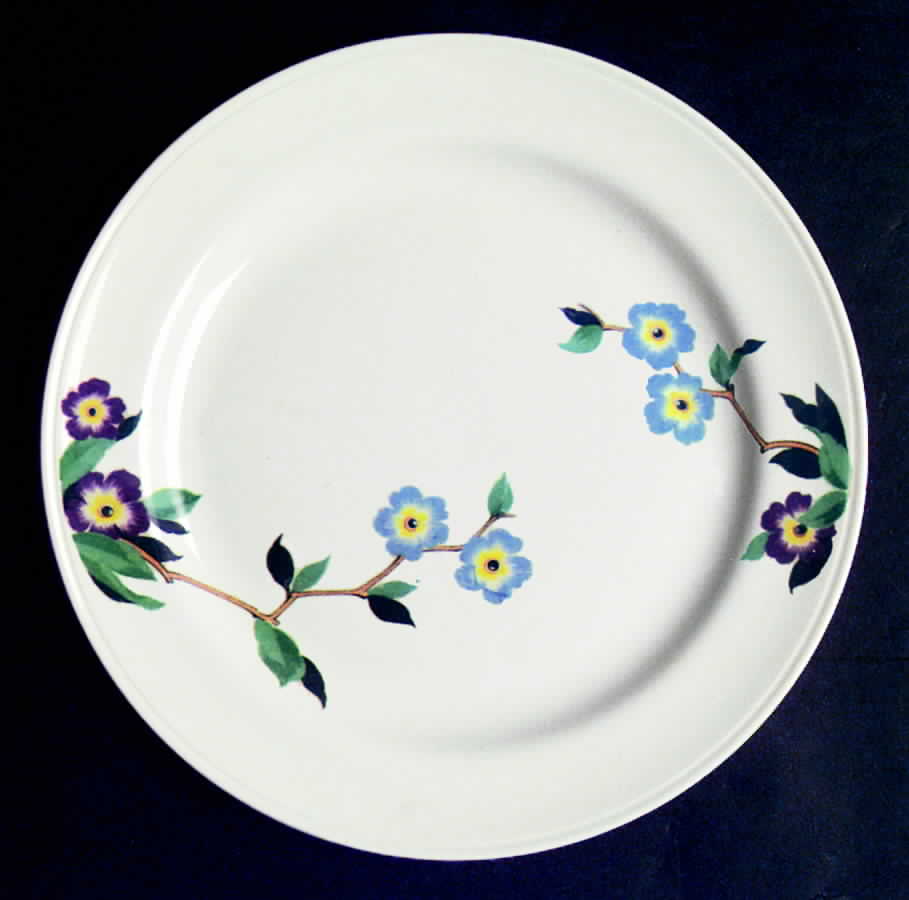 HLC1092 Dinner Plate by Homer Laughlin -1