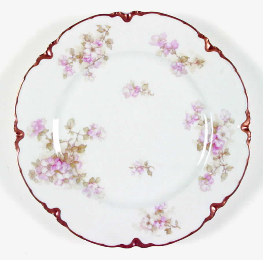 Schleiger 66c Dinner Plate by Haviland-1