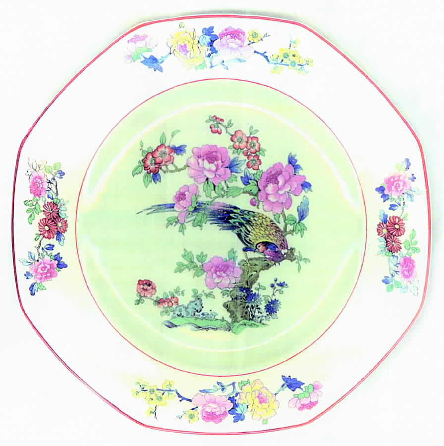 HLC1134 Dinner Plate by Homer Laughlin -1