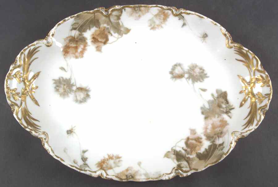 Flowers and Seeds (Blank 25) 15" Oval Serving Platter by Haviland-1