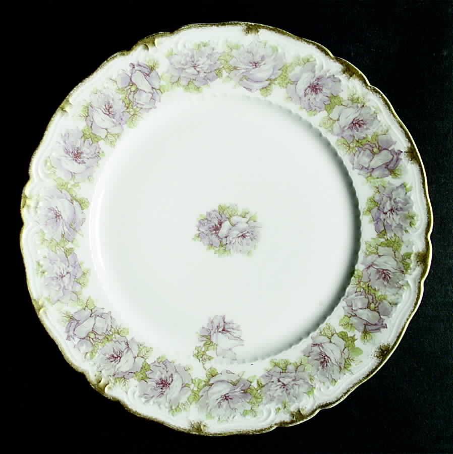 Schleiger 55h Dinner Plate by Haviland-1
