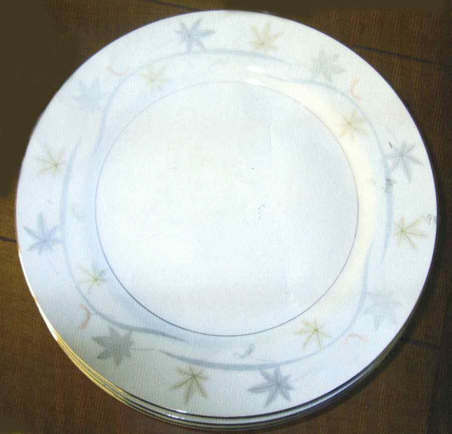 Starlet Dinner Plate by House of China-1