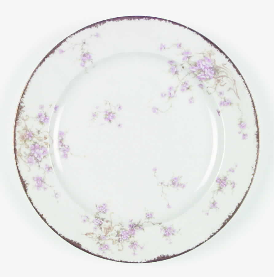 Schleiger 155a Dinner Plate by Haviland-1