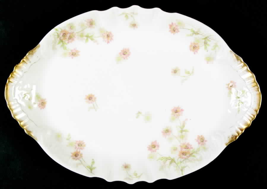 Schleiger 164e 13" Oval Serving Platter by Haviland-1