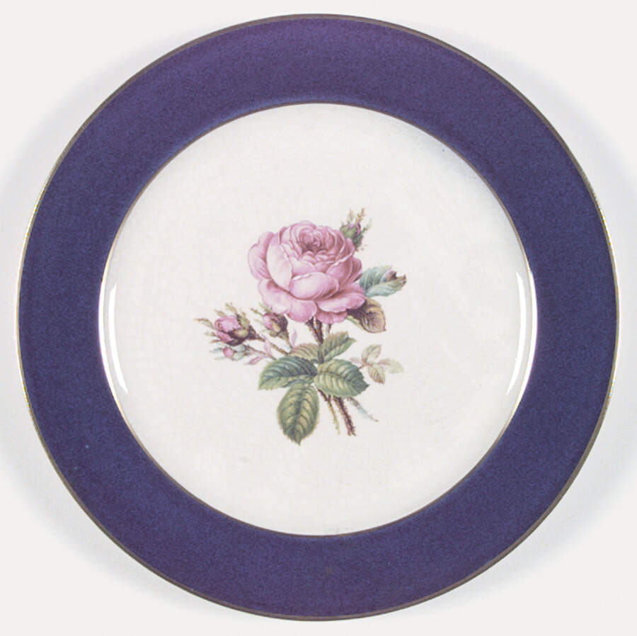 HLC1235 Dinner Plate by Homer Laughlin -1