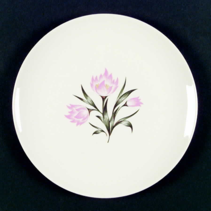 HLC1317 Dinner Plate by Homer Laughlin -1