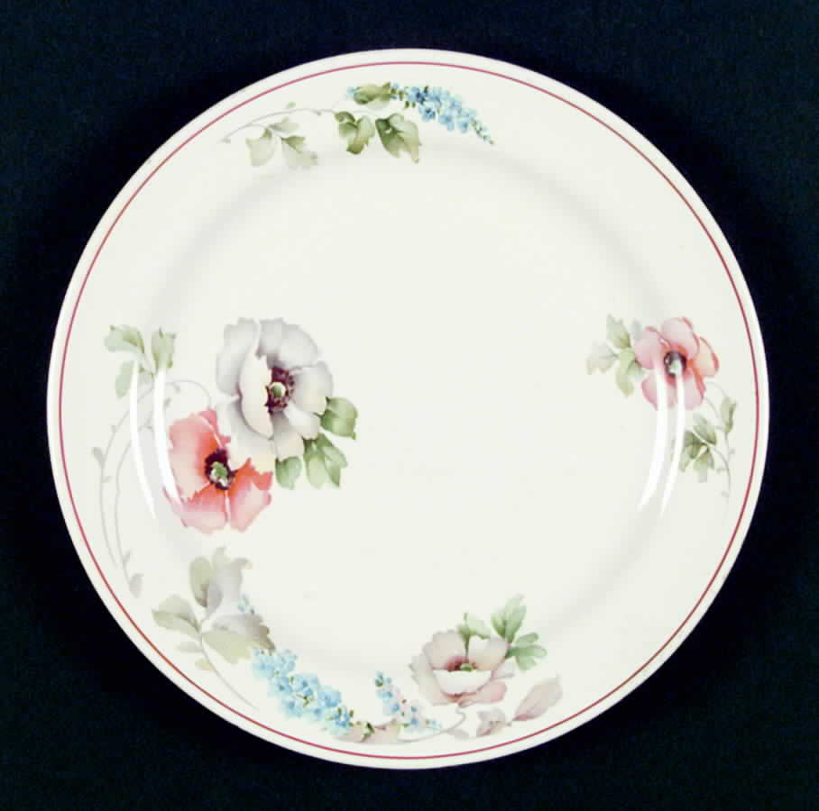 HLC1346 Dinner Plate by Homer Laughlin -1