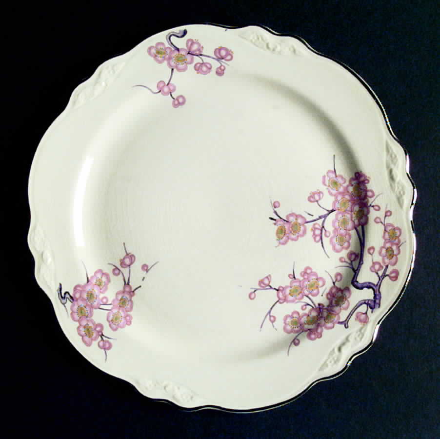 R2256 Dinner Plate by Homer Laughlin -1