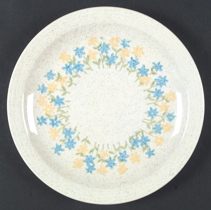 Sun Drops Dinner Plate by Homer Laughlin -1