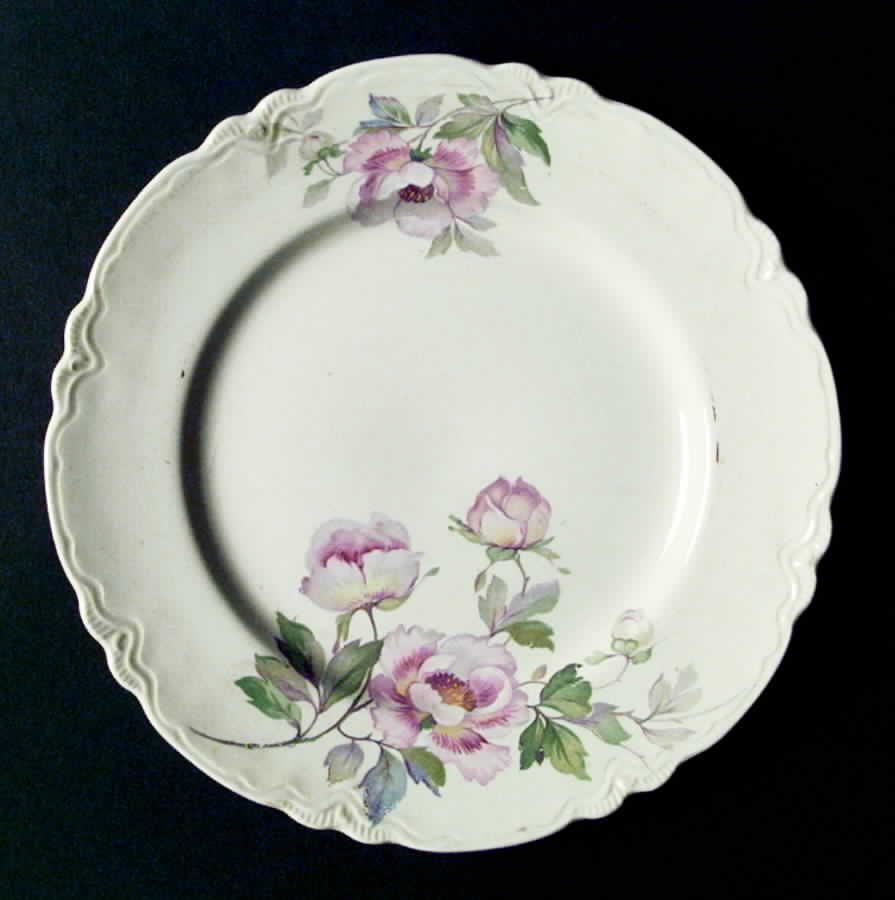HLC1502 Dinner Plate by Homer Laughlin -1