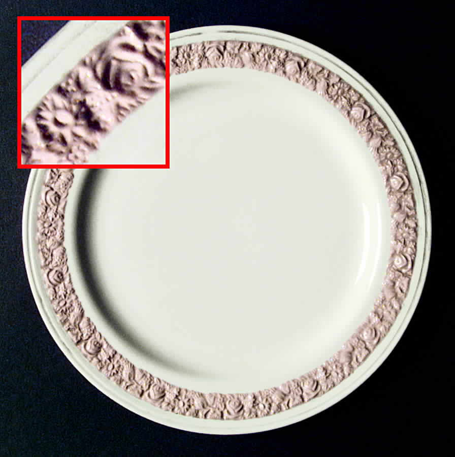HLC1618 Dinner Plate by Homer Laughlin -1