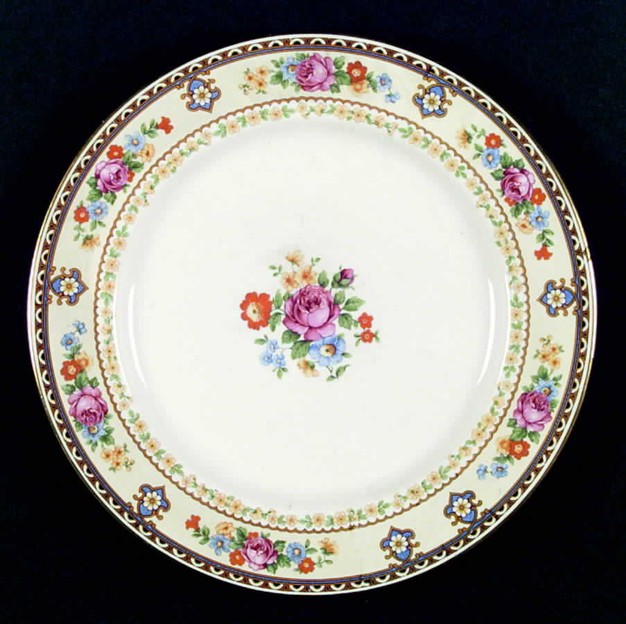 704rg Dinner Plate by Homer Laughlin -1