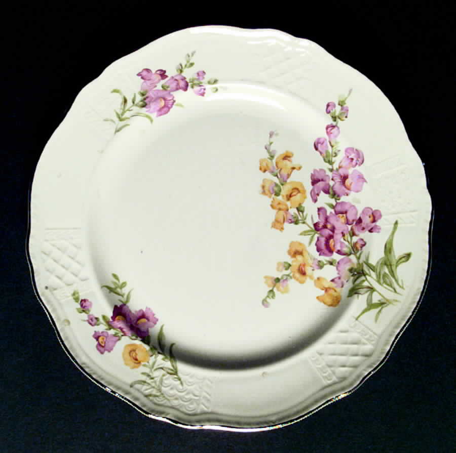 T92 Dinner Plate by Homer Laughlin -1