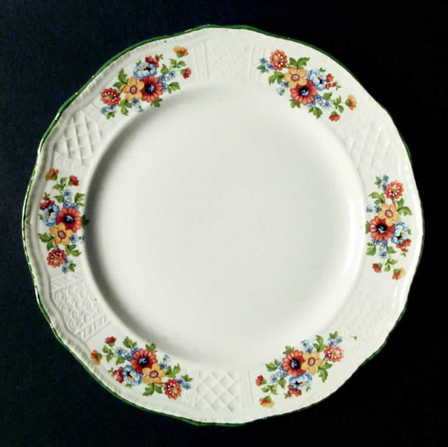 T35 Dinner Plate by Homer Laughlin -1