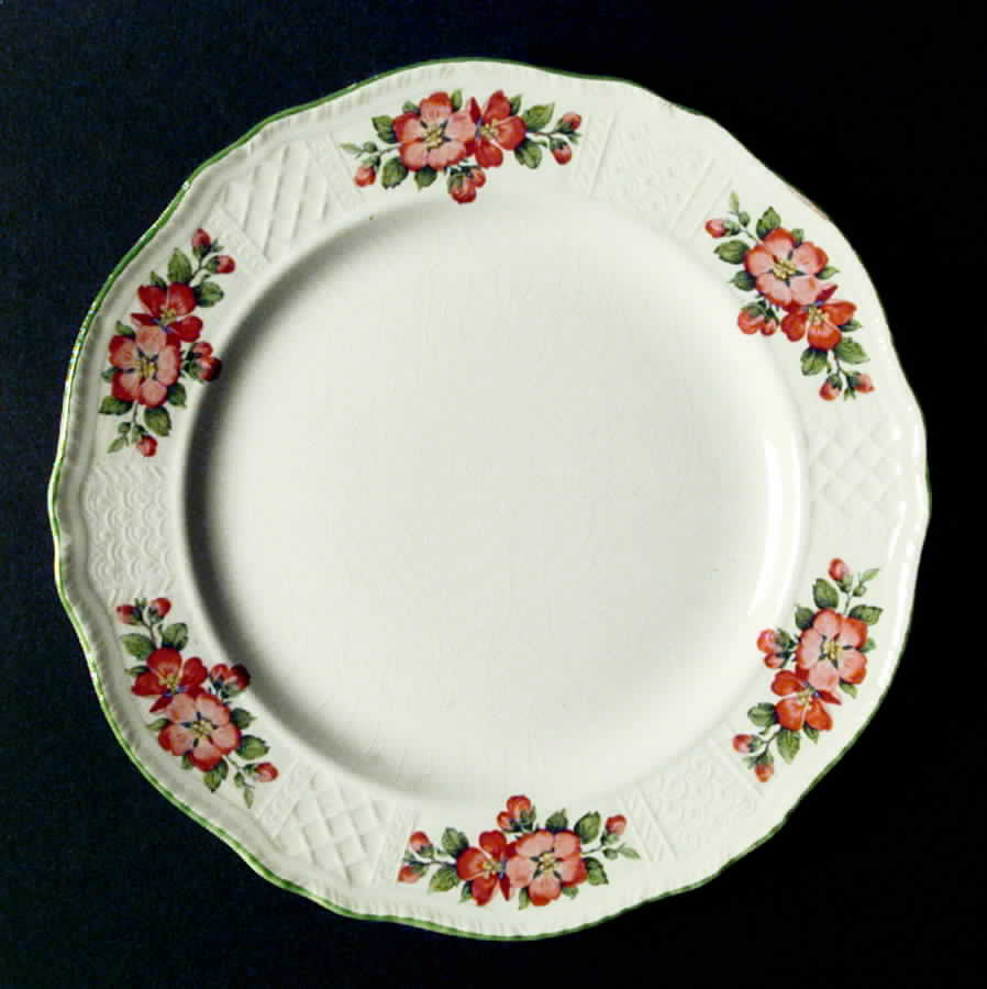 T27 Dinner Plate by Homer Laughlin -1