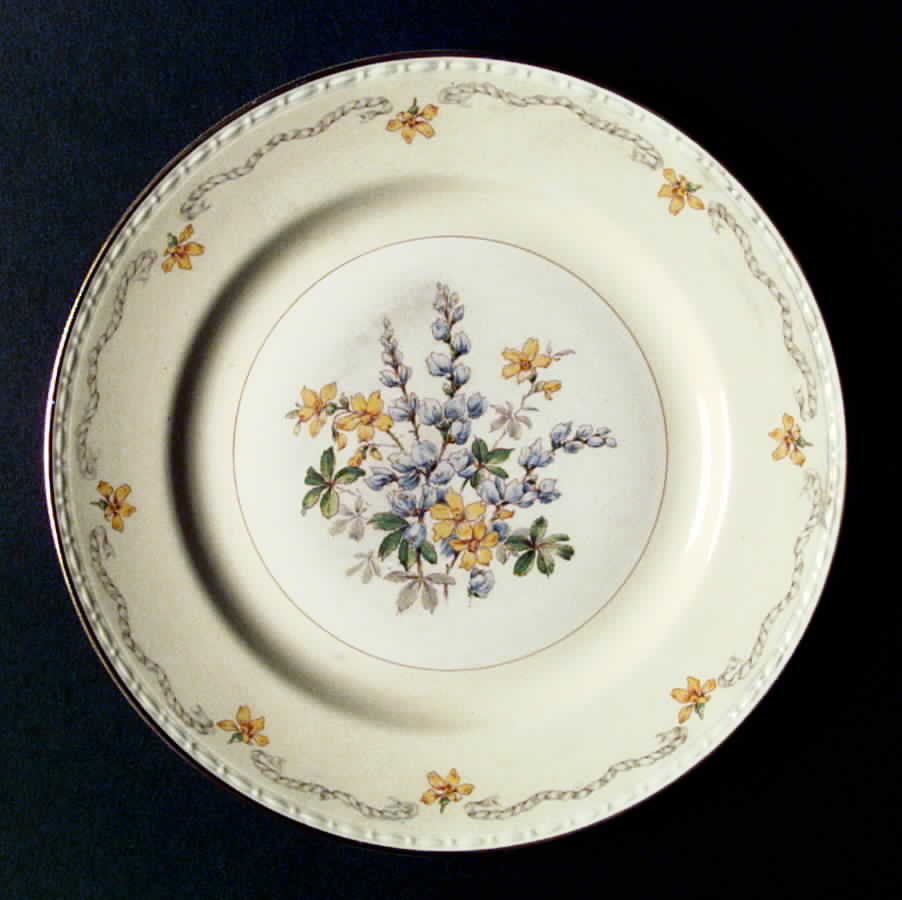 HLC1367 Dinner Plate by Homer Laughlin -1