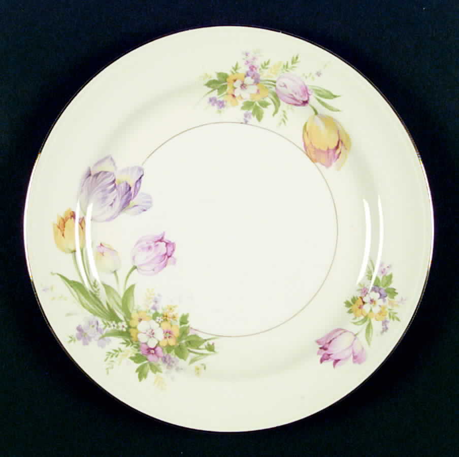 V2843 Dinner Plate by Homer Laughlin -1