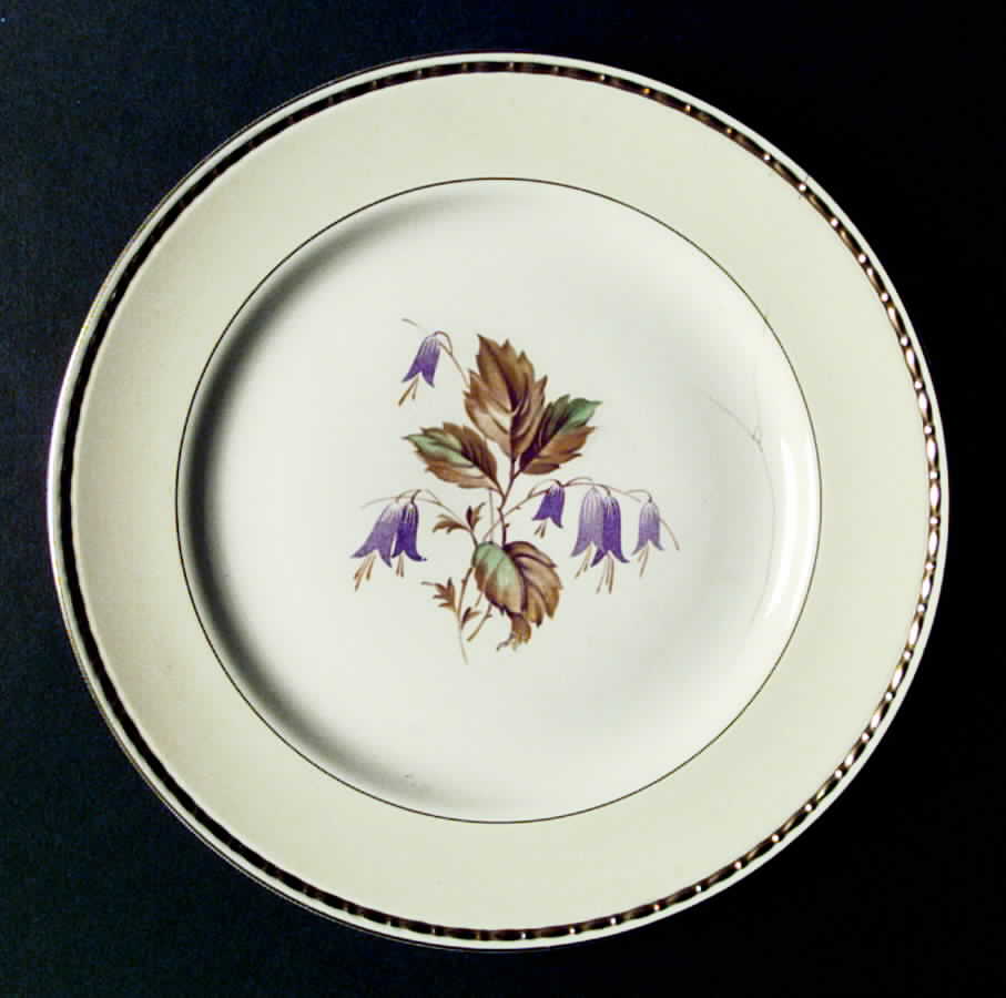 G3401 Dinner Plate by Homer Laughlin -1