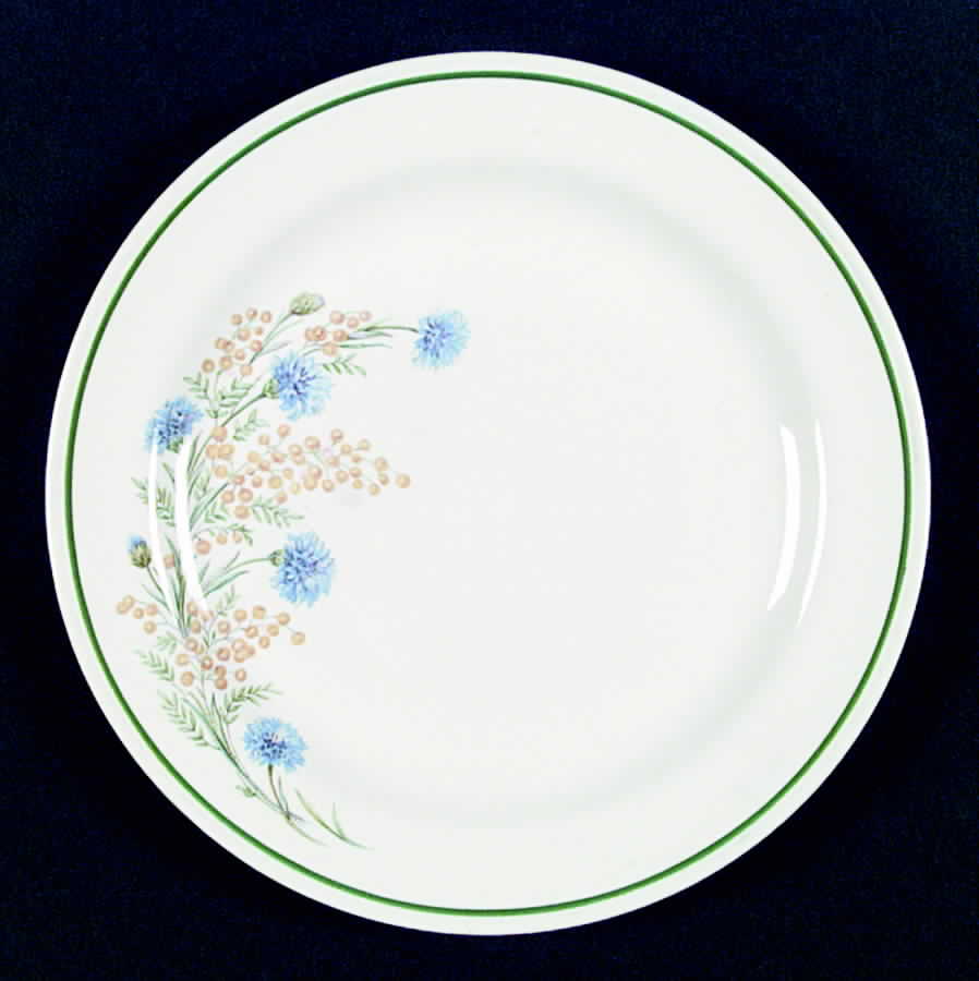 R2168 Dinner Plate by Homer Laughlin -1