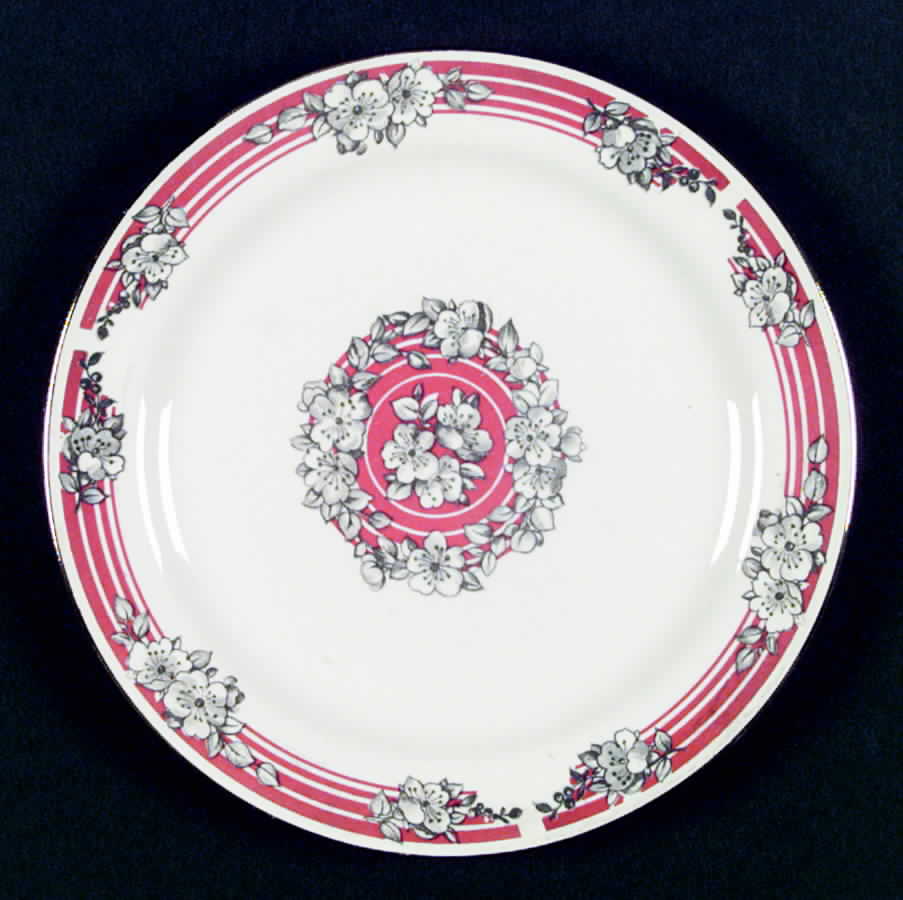 R8326c Dinner Plate by Homer Laughlin -1