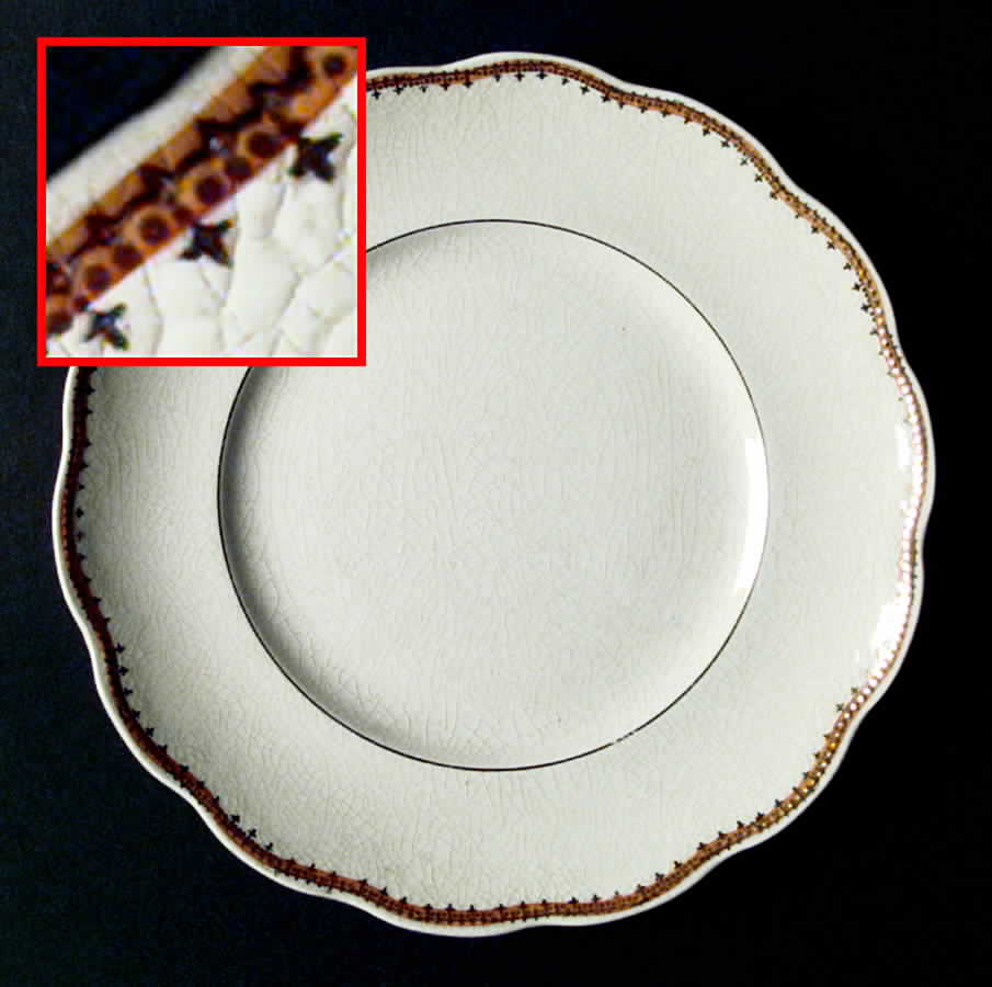 AX57 Dinner Plate by Homer Laughlin -1