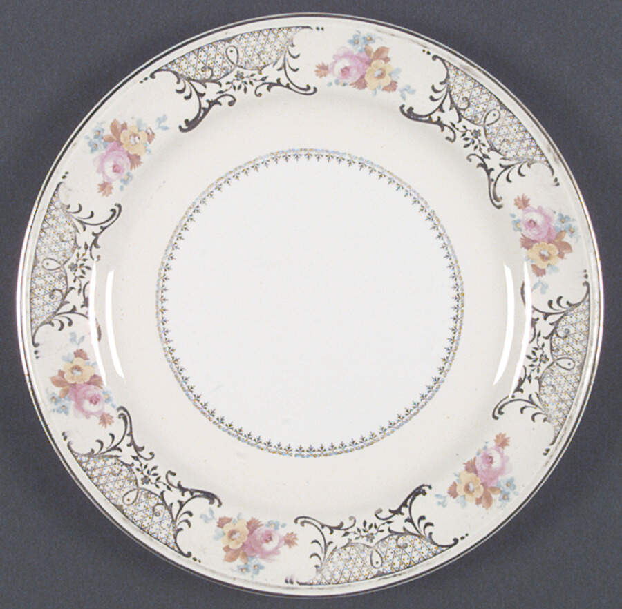 HLC1663 Dinner Plate by Homer Laughlin -1
